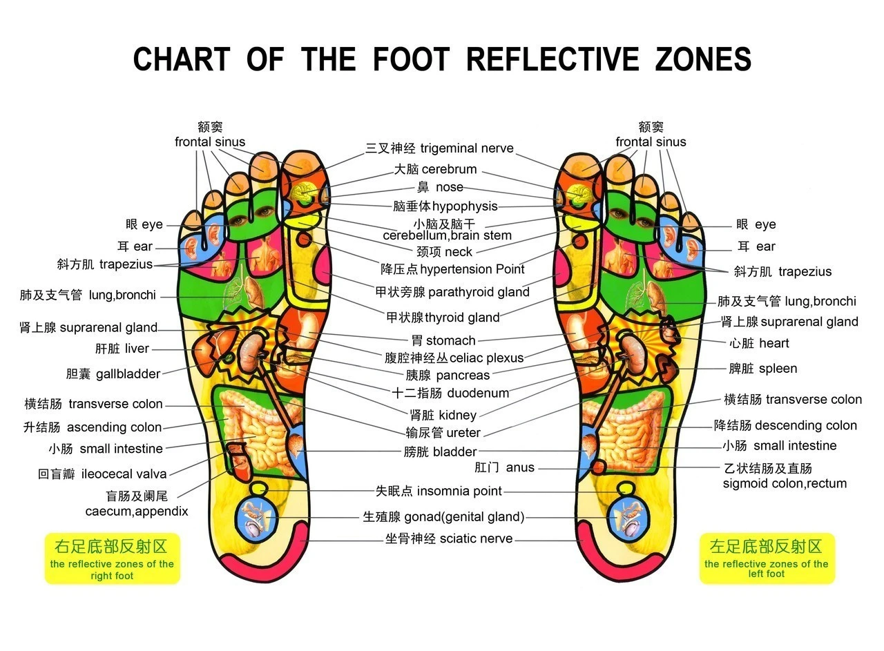 Foot Bath Massager product thumbnail 14