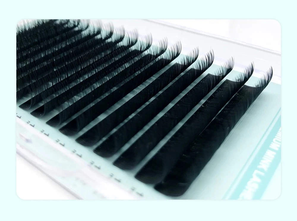 NATUHANA 16Rows Matte Black Natural Soft False Eyelashes product thumbnail 9