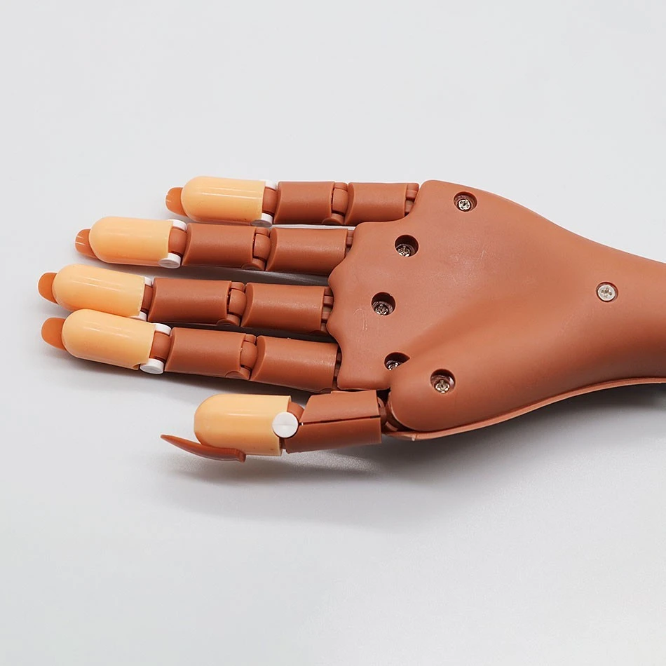 Professional  hand manicure tool for training product thumbnail 12