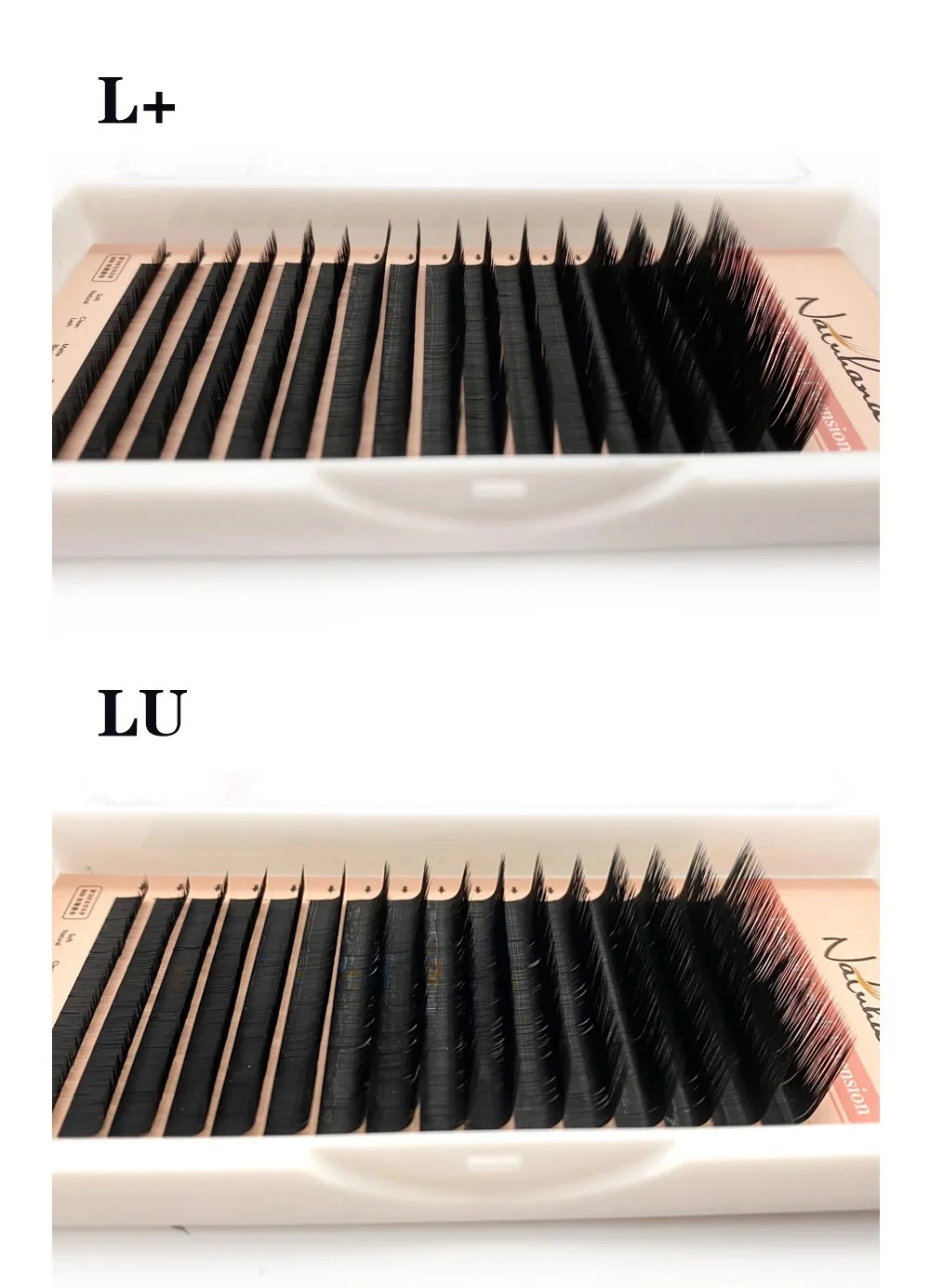 NATUHANA Lashes LL+LCLDLU(M) curl False 8-15Mix Matt Black product thumbnail 7