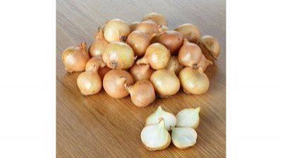 Baby Onion for Grilling product thumbnail 2