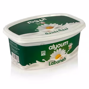 Today’s Labneh 500g product thumbnail 2