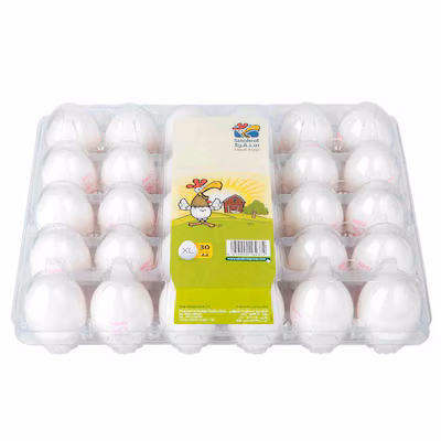 Large Egg Incubator - 30 Pieces product thumbnail 2