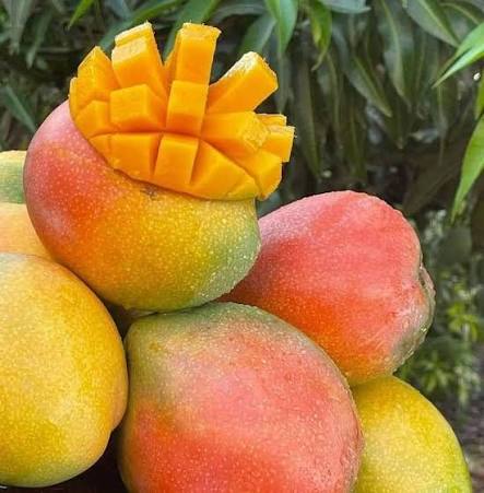Imported Mango product thumbnail 2