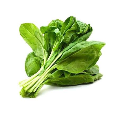 Spinach product thumbnail 2