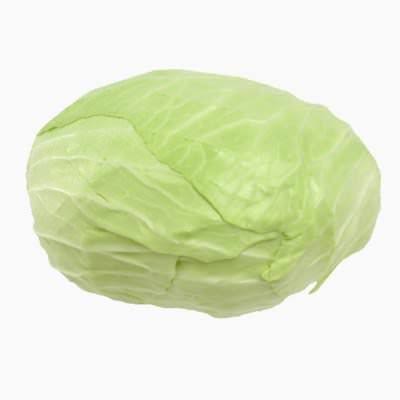 White Cabbage product thumbnail 2