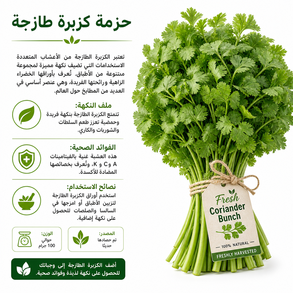 Fresh Coriander Bunch